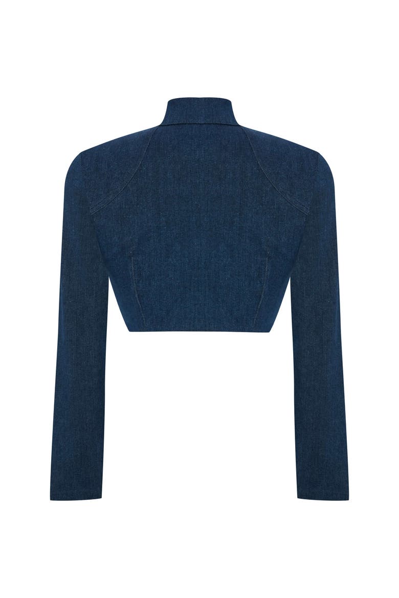 Sublime Denim Jacket, Alternate, color, Blue