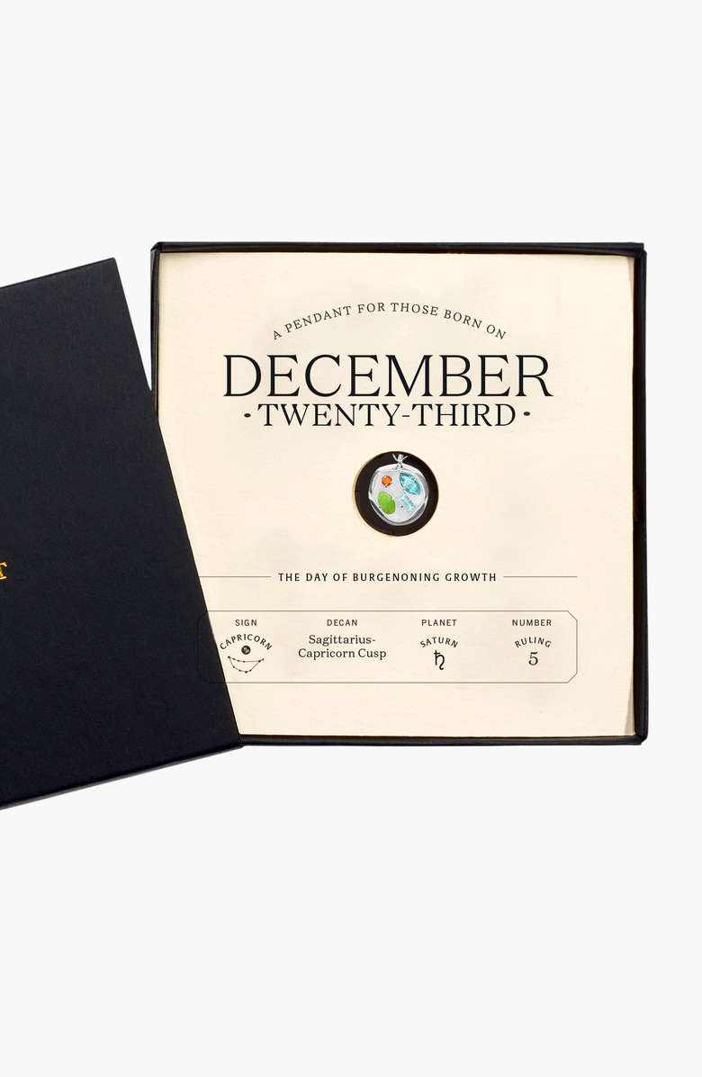 Birthdate Co. The December Birthdate Silver Pendant, Alternate, color,