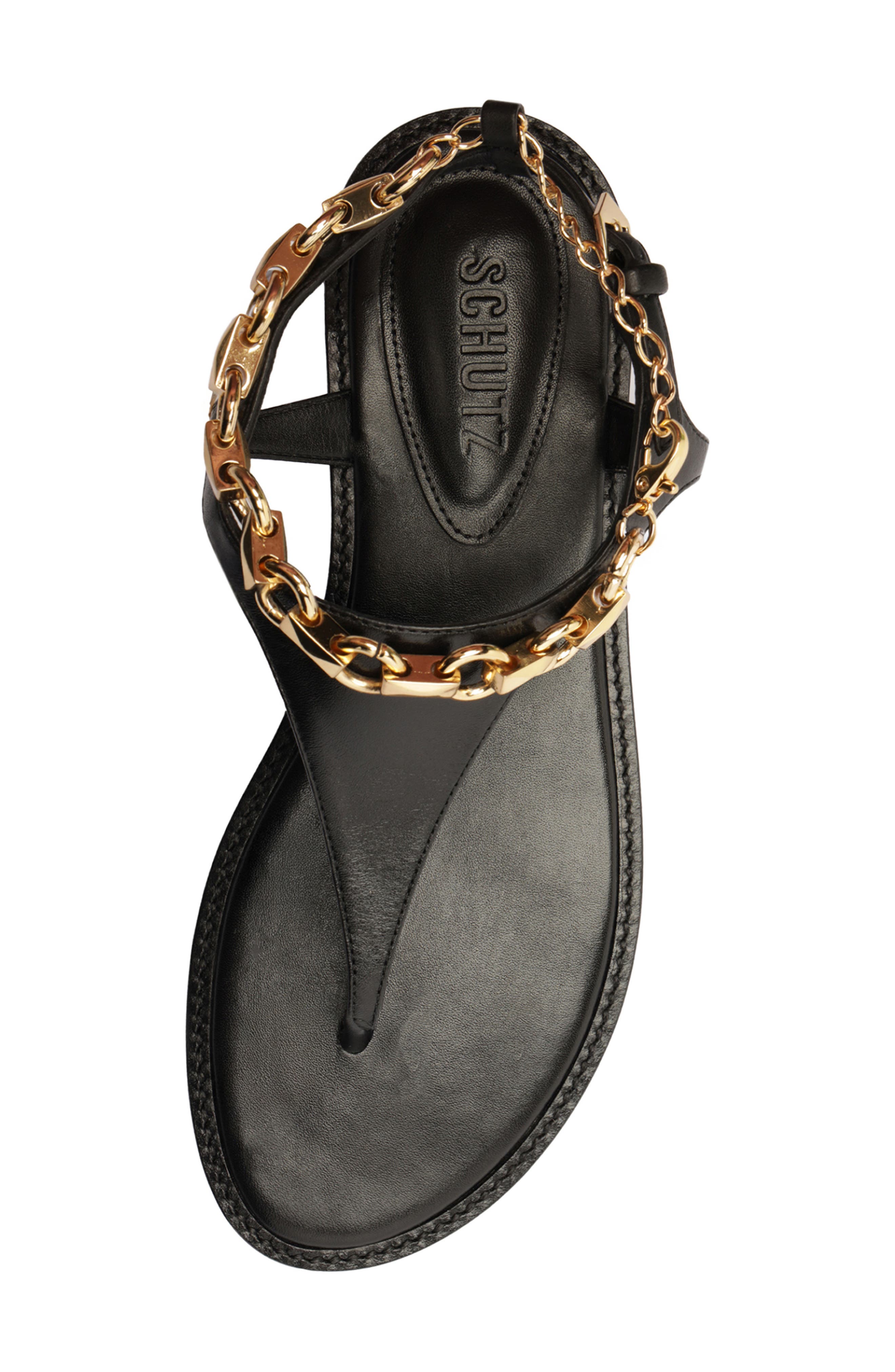 Schutz Lys Ankle Strap Slide Sandal, Alternate, color, Black