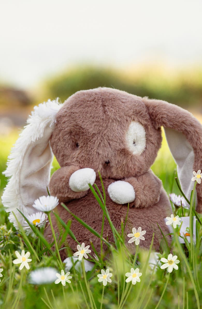 Bunnies by the Bay Baby Harriet Bunny Stuffed Animal, Alternate, color, Brown
