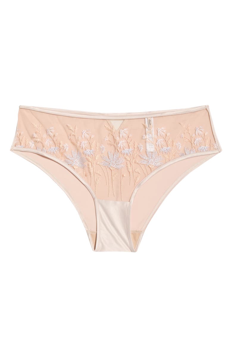 Etam Champetre Embroidered Satin & Mesh Briefs, Alternate, color, Dune