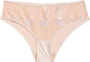 Etam Champetre Embroidered Satin & Mesh Briefs