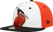 New Era Men's New Era White Delmarva Shorebirds Authentic Collection Team Alternate 59FIFTY Fitted Hat