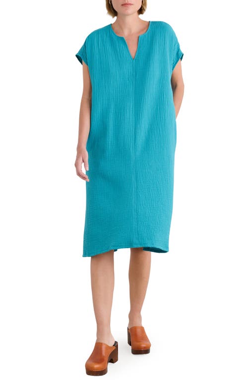 Seasalt Cornwall Sand Patterns Organic Cotton Shift Dress In Blue