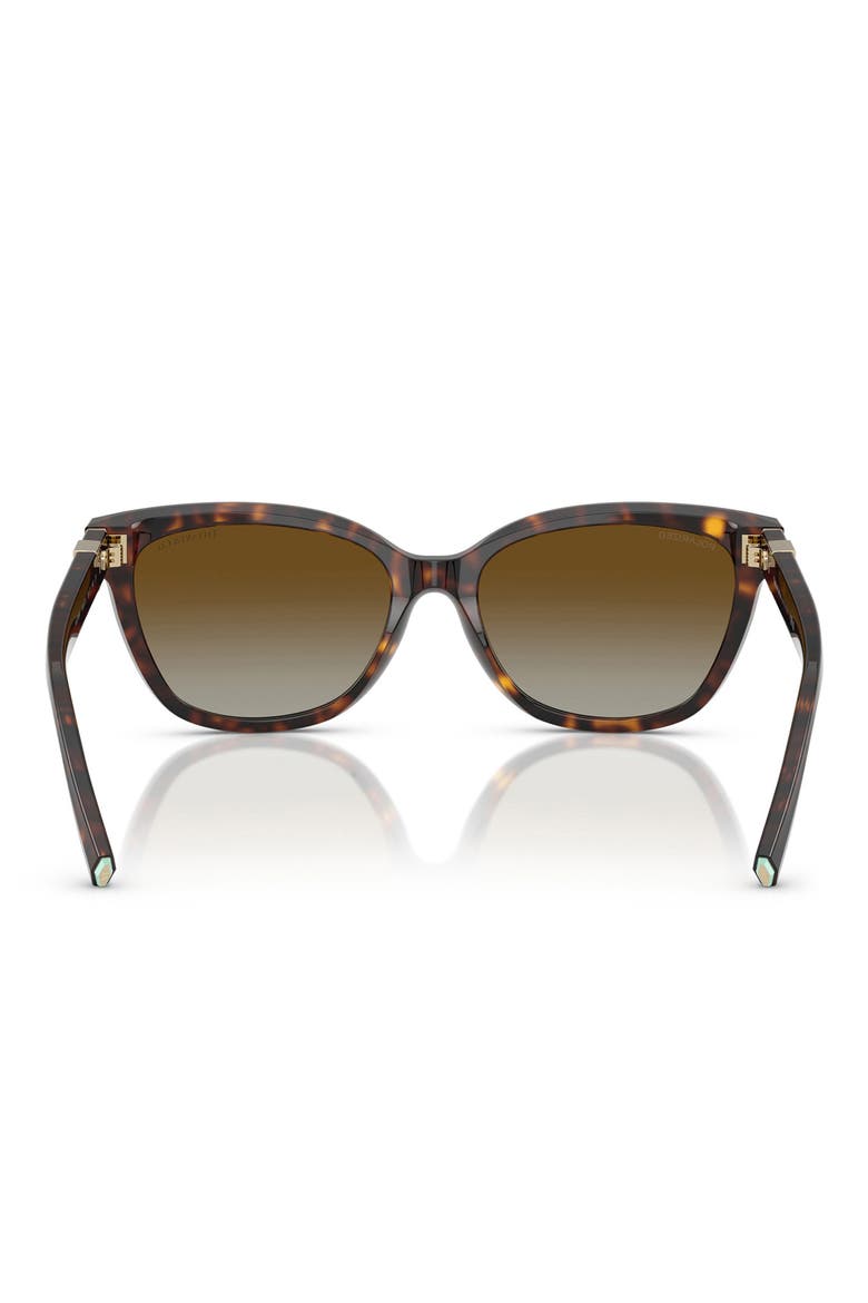 55mm Polarized Gradient Cat Eye Sunglasses, Alternate, color, HAVANA/ POLAR BROWN GRADIENT