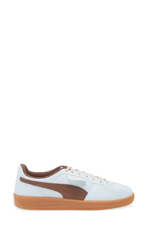 Puma Palermo Ccc Sneaker In Frosted Dew-gum