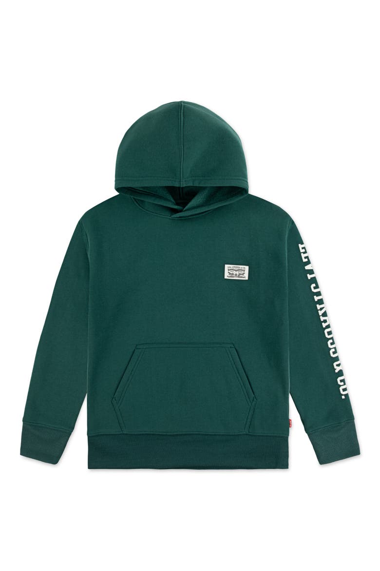 Kids' Sleeve Hit Hoodie, Main, color, BISTRO GREEN