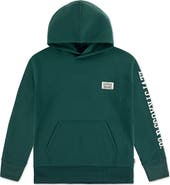 Levi's Kids' Sleeve Hit Hoodie