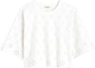Madewell The Embroidered Boxy Crop Tee
