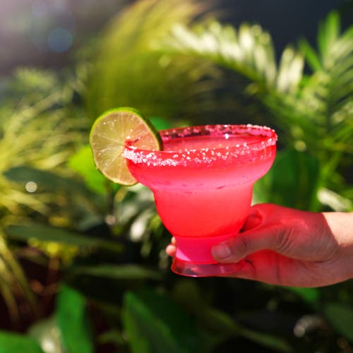 Host Margarita Freeze Cooling Cup Set Of 2 In Punch Pink