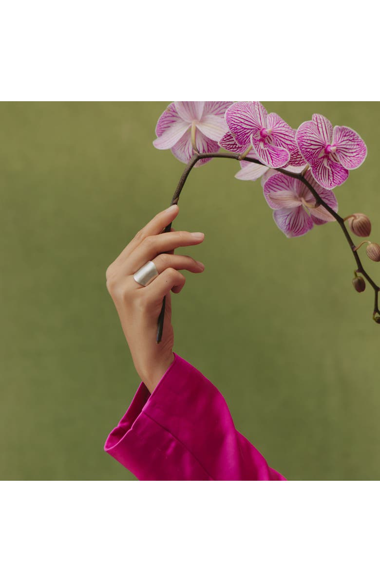 LOUPN Armor Ring, Alternate, color, Silver