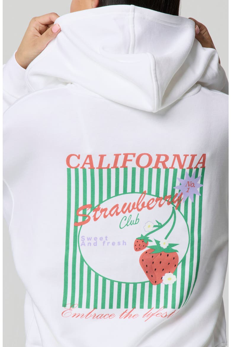 Cozy Crush Forever Embroidered Oversize Graphic Zip Hoodie, Alternate, color, STRAWBERY STRIPE