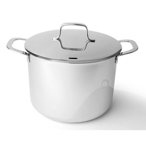 Maestro stainless steel stockpot