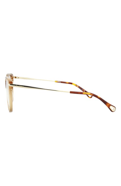 Chloé Core 53mm Cat Eye Optical Glasses In Brown Gold Transparent