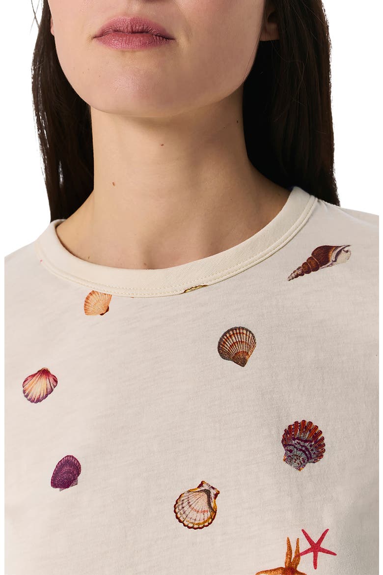 Seashell Print Cotton T-Shirt, Alternate, color, IVY