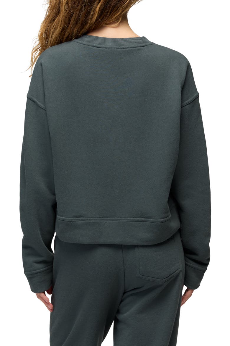 Dreamterry Crewneck Sweatshirt, Alternate, color, GREY BLUE