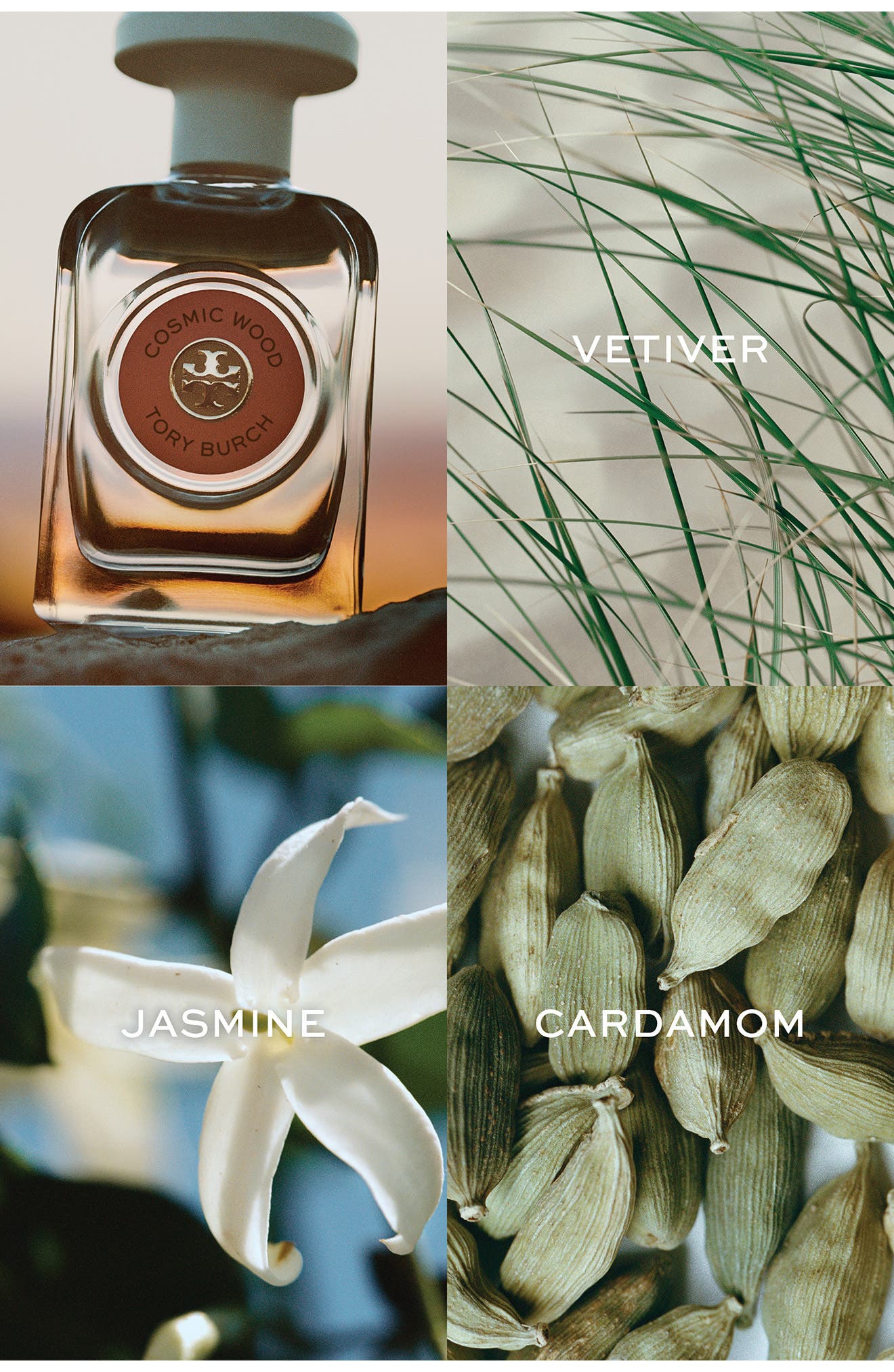 Essence of Dreams Cosmic Wood Eau de Parfum (Women) | Nordstrom