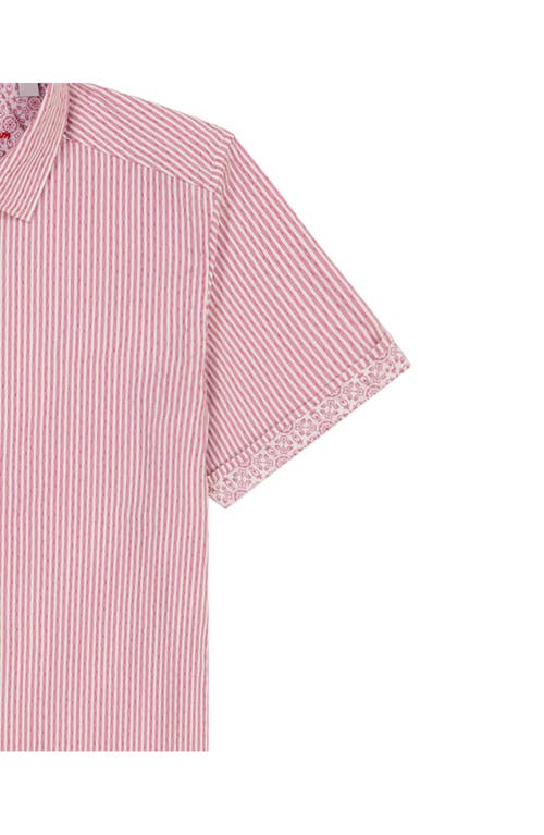 Shop Robert Graham Fornillo Classic Fit Stripe Short Sleeve Button-up Shirt
