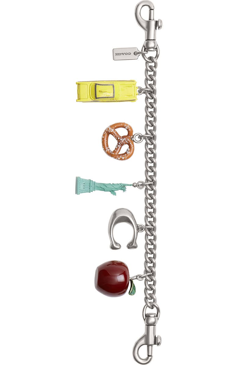 COACH New York Motif Chain Bag Charm, Main, color, Silver Multi