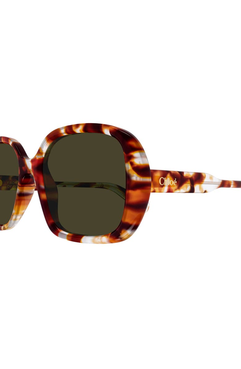 Chloé 55mm Square Sunglasses, Alternate, color, Rust Havana