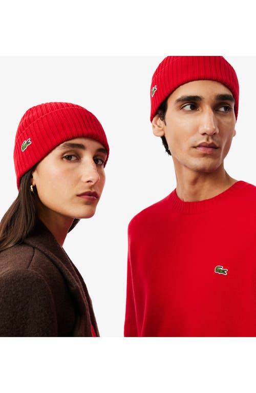 Lacoste Wool Cuff Beanie In Red