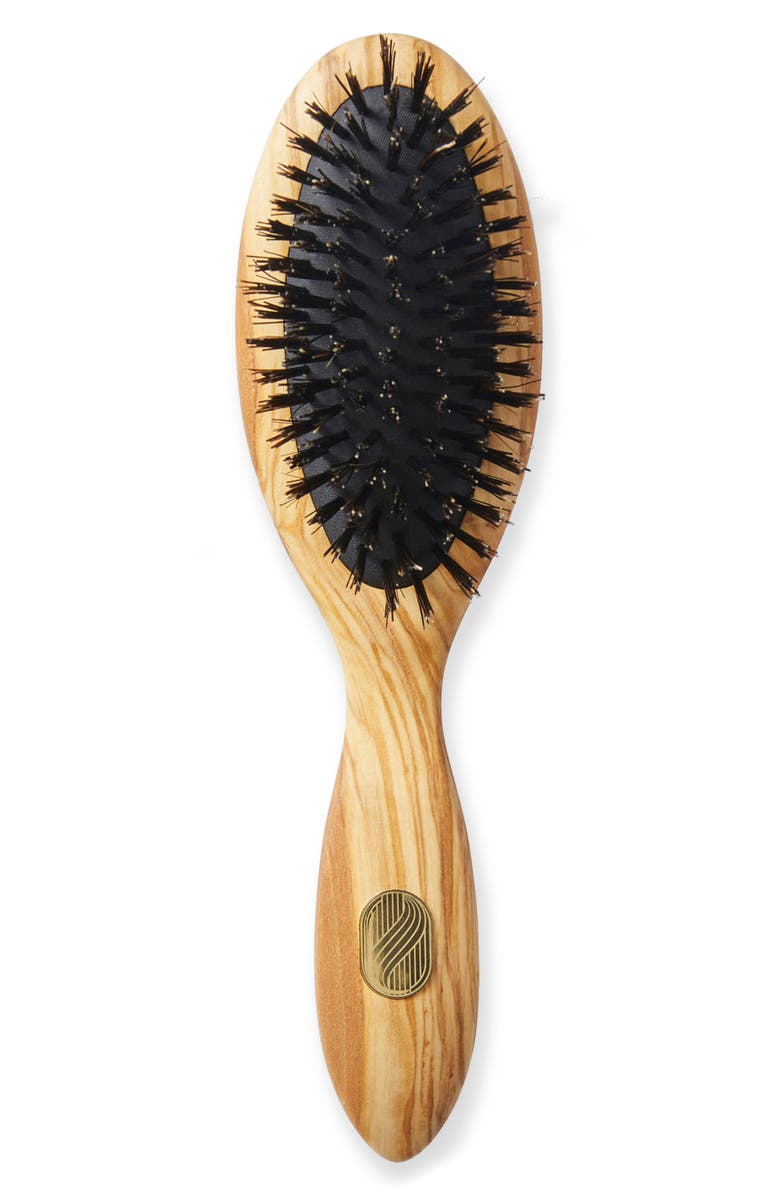 Altesse Studio BEAUTE Petite Repair & Shine Brush for Thick or Curly Hair, Main, color, 