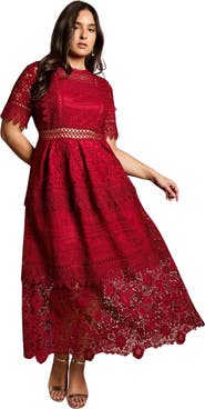 Coast Plus Embroidered Lace Midi Dress