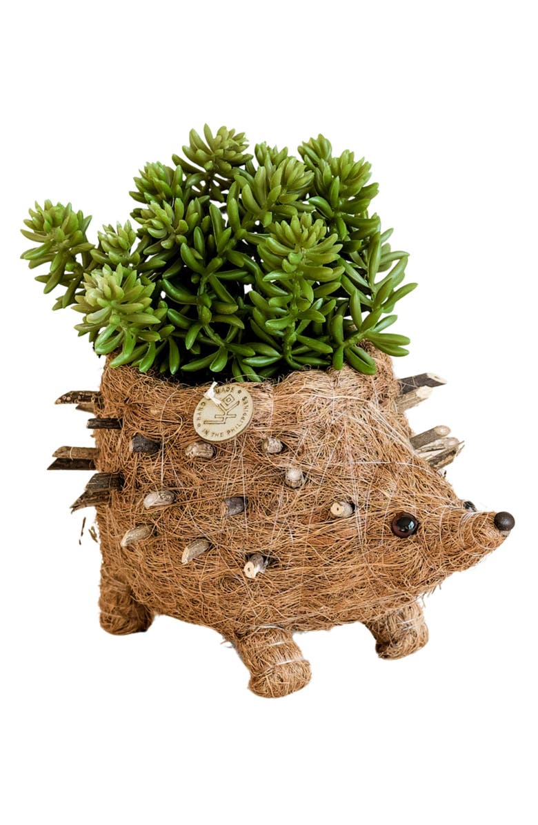 LIKHA Baby Hedgehog Handwoven Planter, Main, color, Brown
