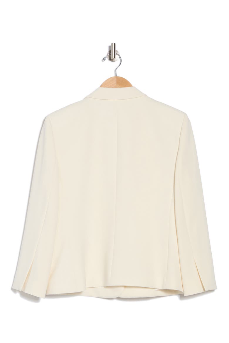 Shrunken Single Breasted Blazer, Alternate, color, RICE
