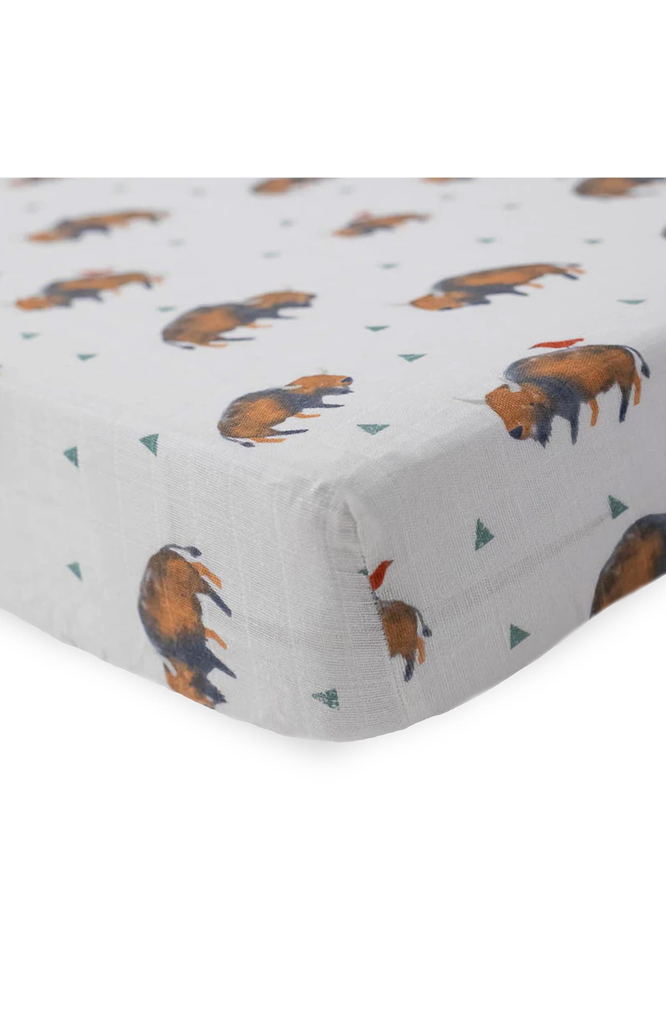 BISON