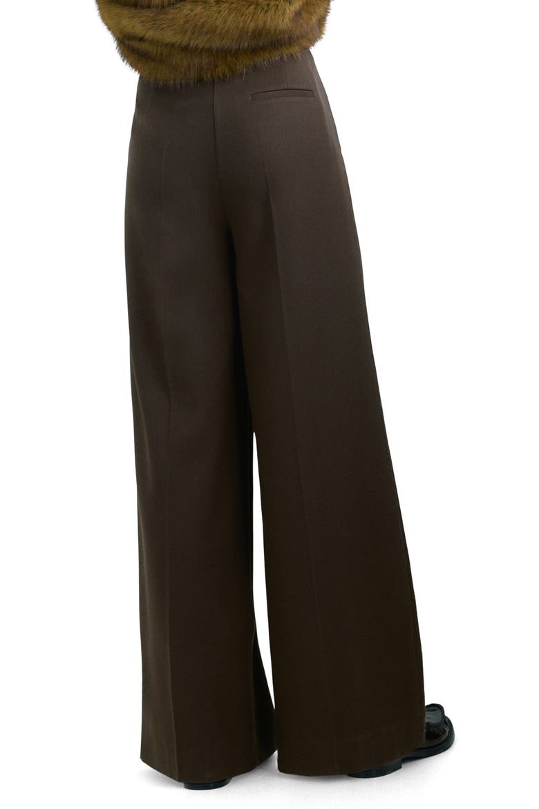 Pleated Wide Leg Pants, Alternate, color, CHOCOLATE