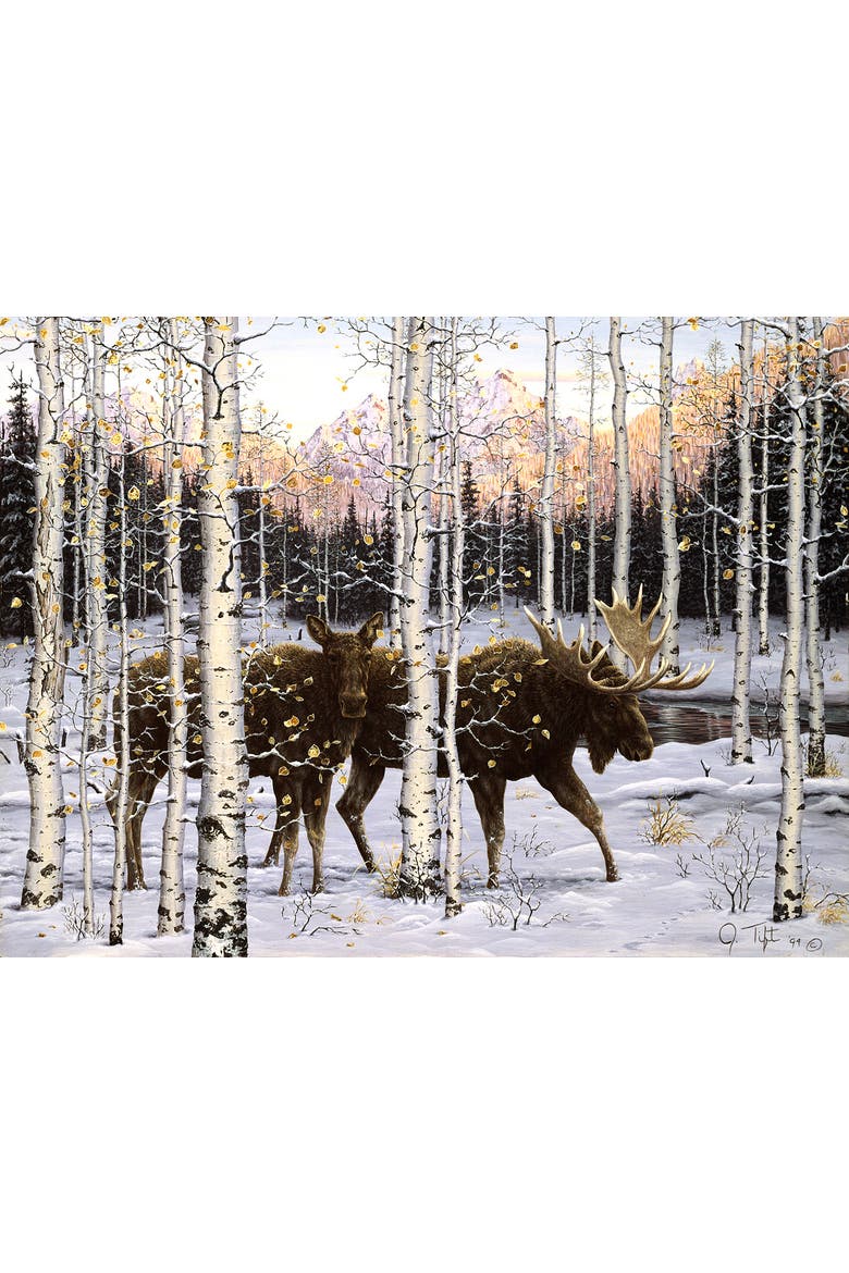 Forest Twilight 500 piece Jigsaw Puzzle for Adults, Alternate, color, Multicolor