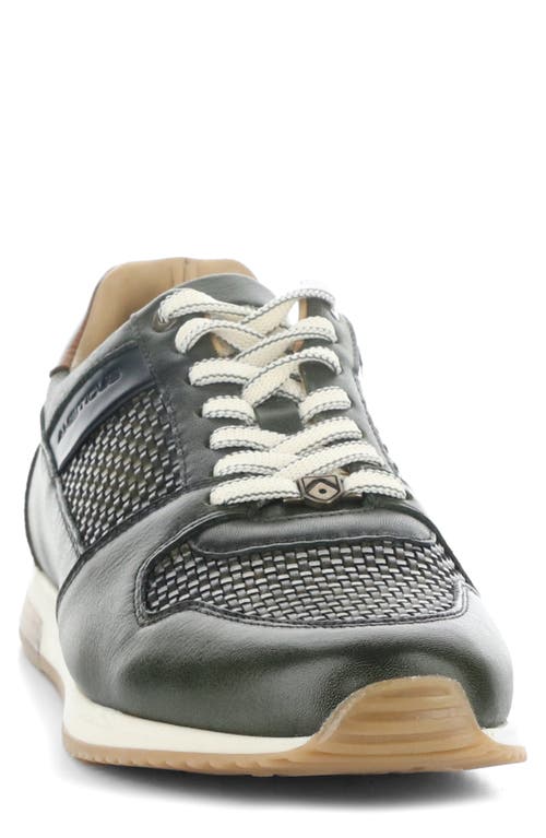 Ambitious 11240 Perforated Sneaker In Black