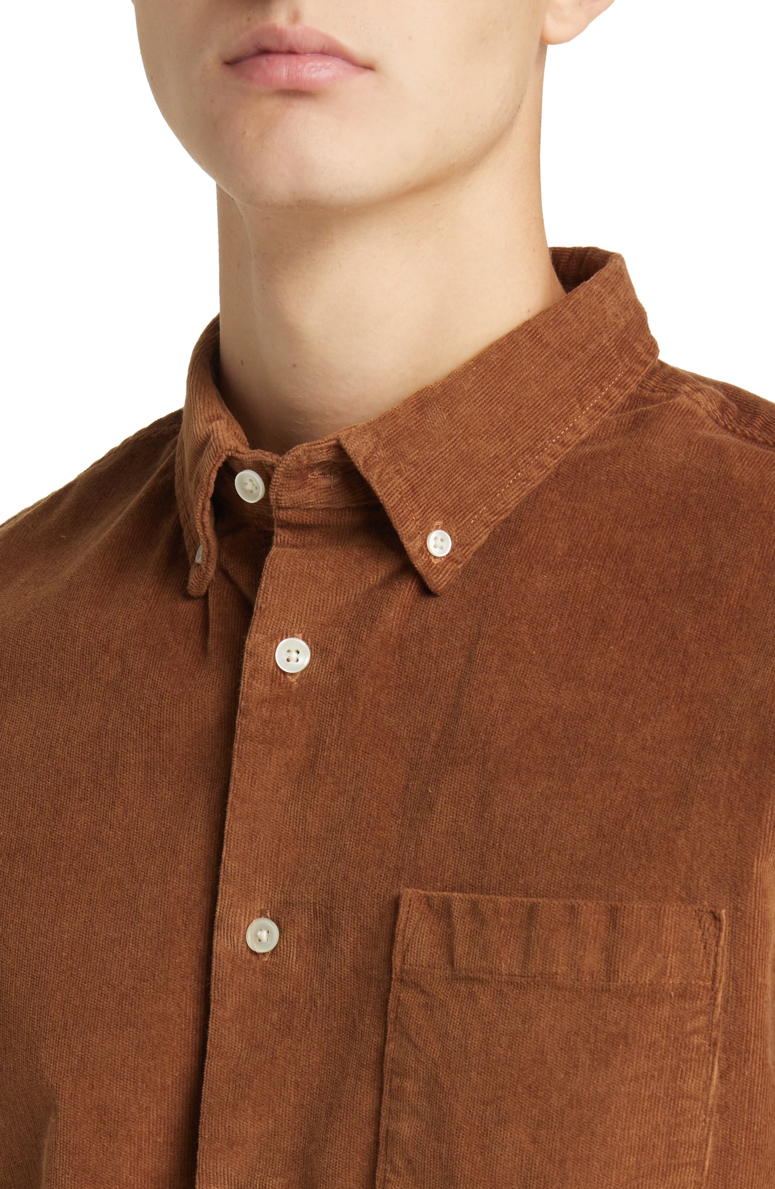 Tech-Smart Trim Fit Stretch Cotton Button-Down Shirt - image 2