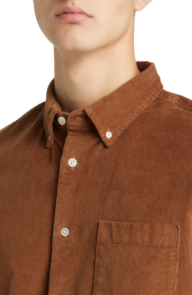 Nordstrom Tech-Smart Trim Fit Stretch Cotton Button-Down Shirt, Alternate, color, Brown Partridge