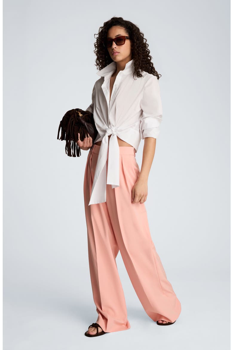 Double Pleat Wide Leg Pants, Alternate, color, SOFT PEACH