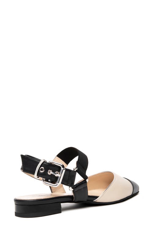 Nerogiardini Pointed Toe Flat