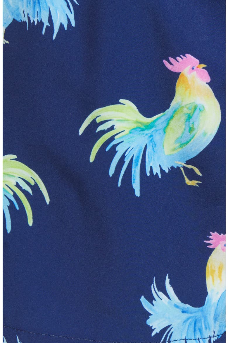The Fowl Plays 5.5-Inch Swim Trunks, Alternate, color, NAVY