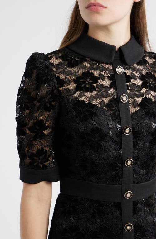 Tahari Asl Metallic Lace Midi Shirtdress In Black