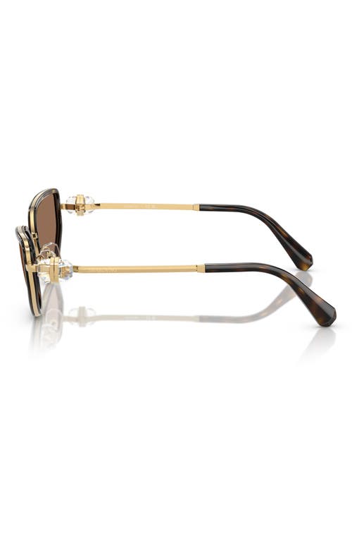 Swarovski 56mm Irregular Sunglasses In Black/gold Havana