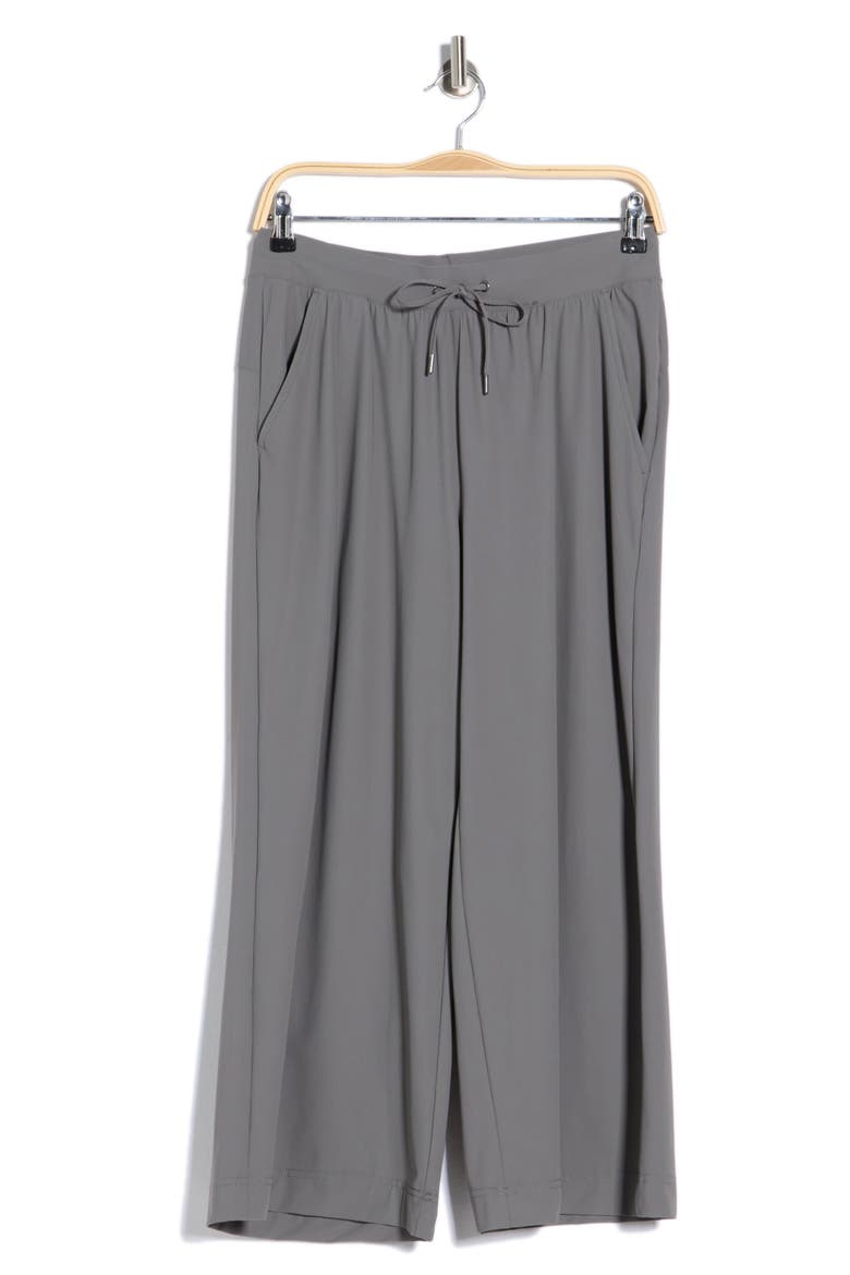 Warp Avenue Gaucho Pants, Alternate, color, POPPY SEED