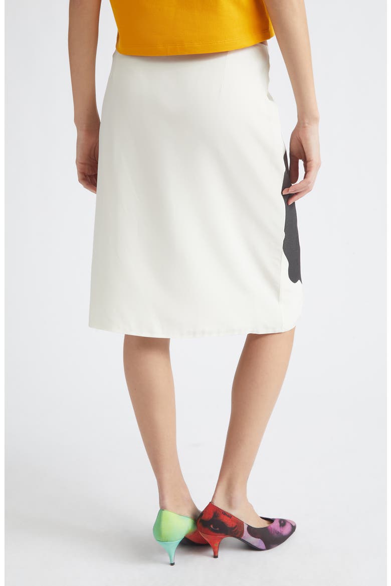 Print Silk Poplin Skirt, Alternate, color, WHITE BLACK LIGHT BLUE