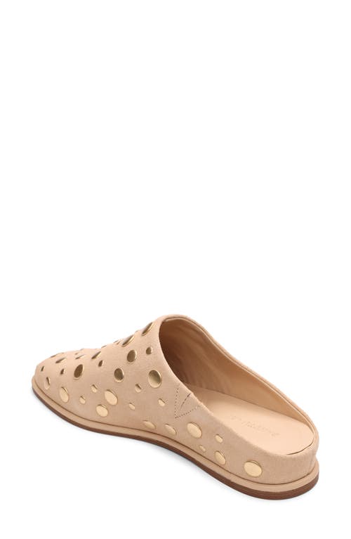 Sanctuary Bari Stud Mule In Nude
