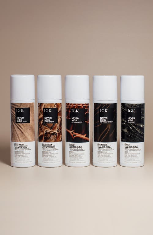 Igk Never Miss Root & Scalp Touch-up Spray In Black