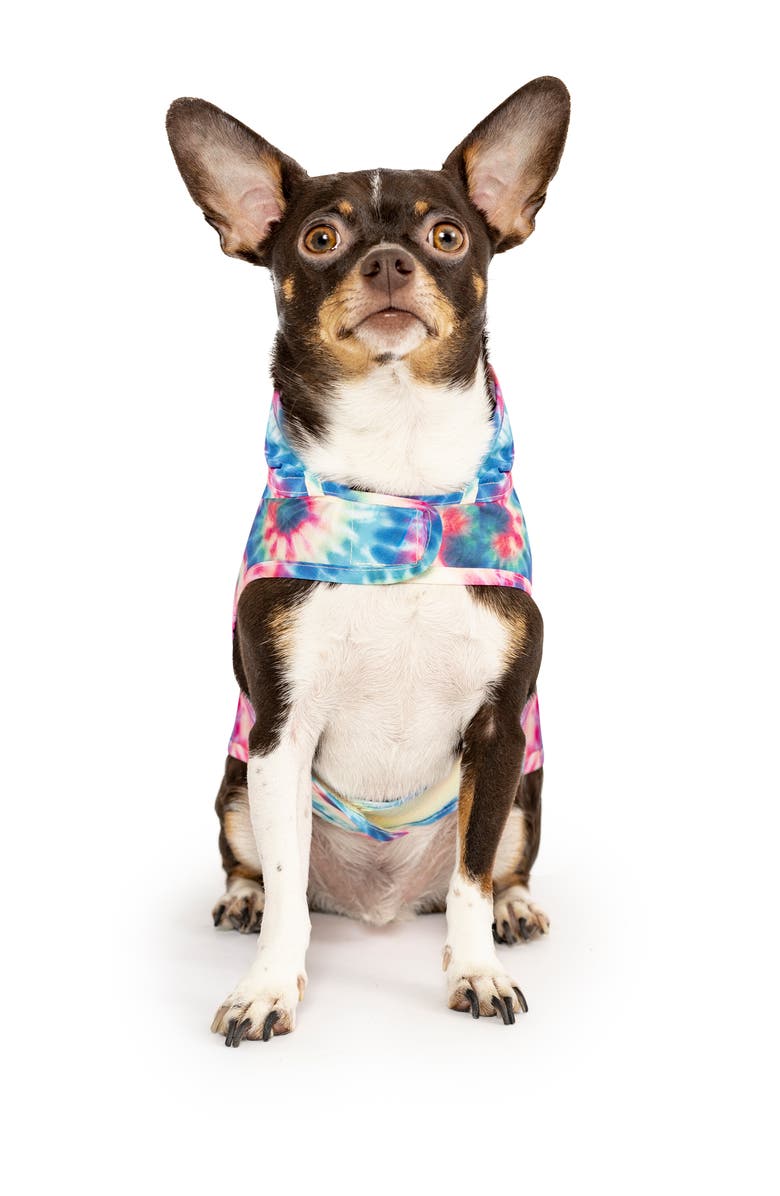 Canada Pooch Pick Me Water Resistant Pet Poncho, Main, color,