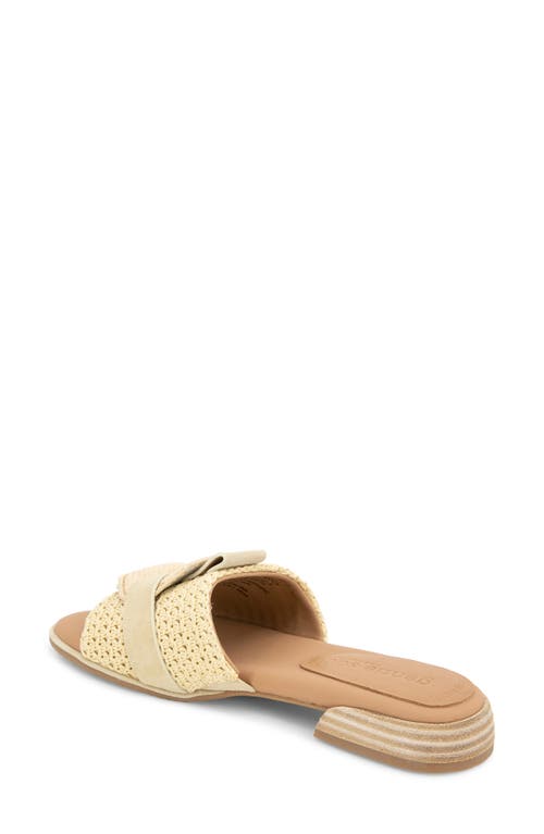 GENTLE SOULS BY KENNETH COLE GENTLE SOULS HUDSON SLIDE SANDAL
