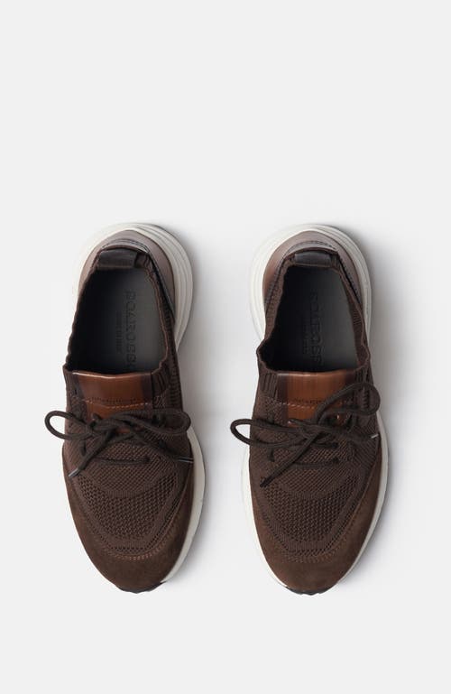 Scarosso Knit-textured Lace-up Sneakers In Brown
