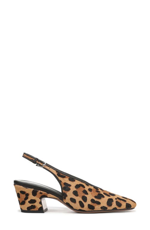 Sarto By Franco Sarto Sutton Slingback Pump In Animal Print