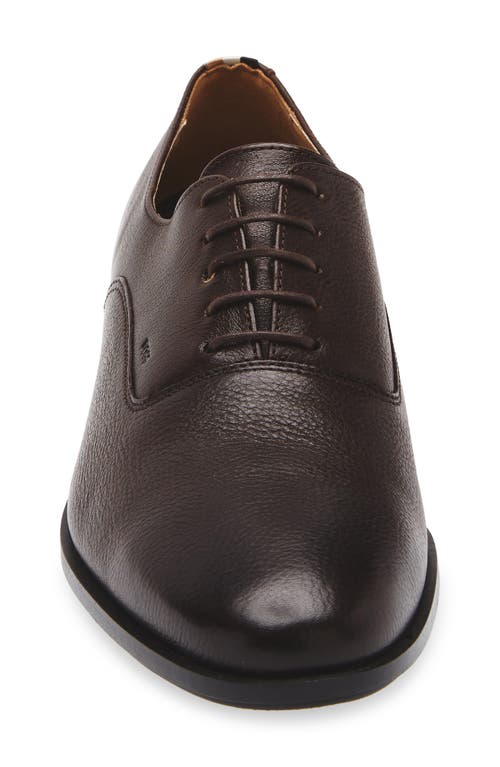 Hugo Boss Boss Colboy Oxford