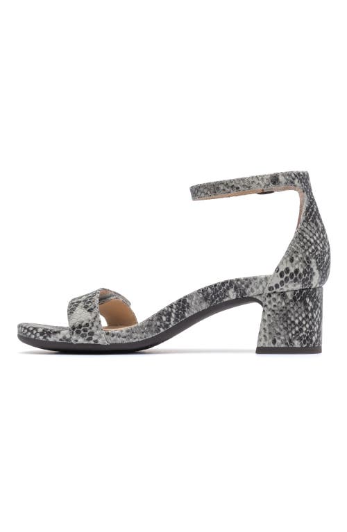 Abeo Avenue Strap Heels In Snake Print - Regular